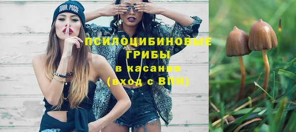 твердый Липки