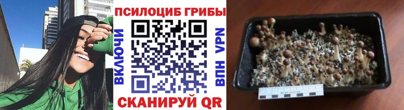 мориарти формула  Партизанск  Псилоцибиновые грибы MAGIC MUSHROOMS 